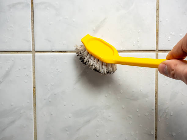 Best Mold Testing and Inspection Services in Grandview, TX