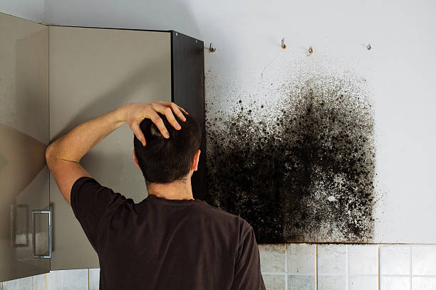 Best Residential Mold Remediation in Grandview, TX